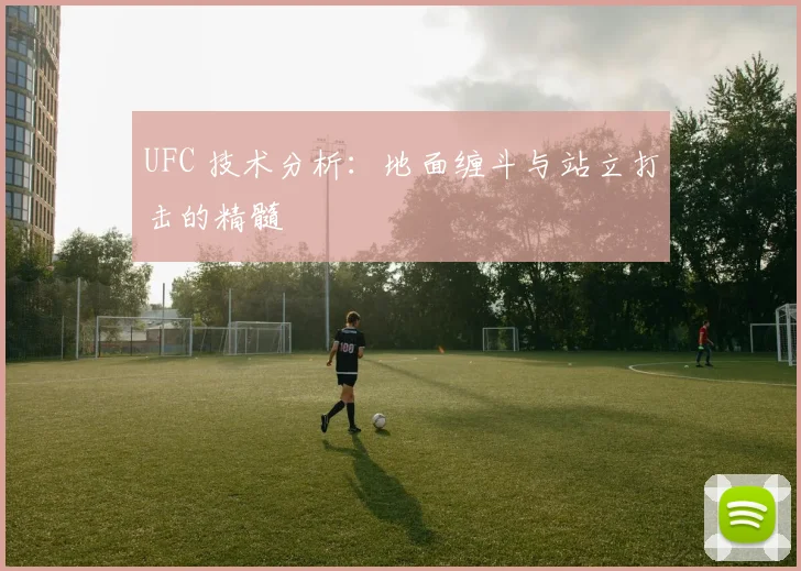 UFC 技术分析：地面缠斗与站立打击的精髓