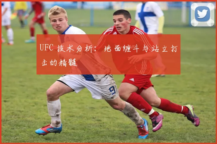 UFC 技术分析：地面缠斗与站立打击的精髓